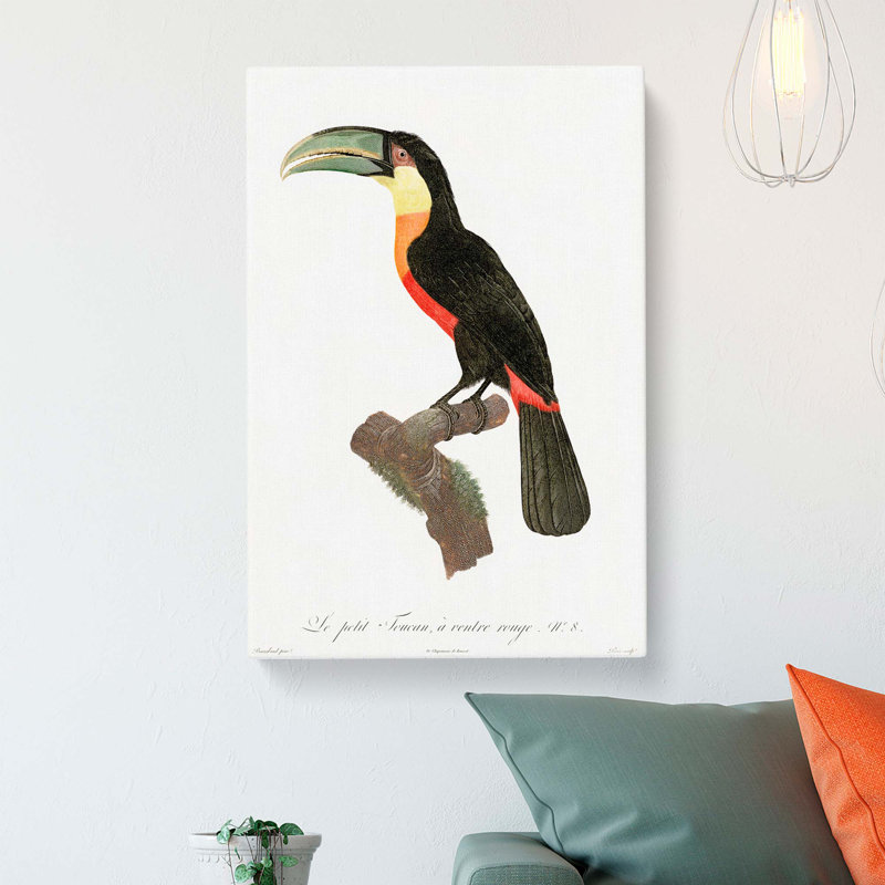 Toucan by Jacques Barraband - Wrapped Canvas, 60cm H x 40cm W x 3cm D