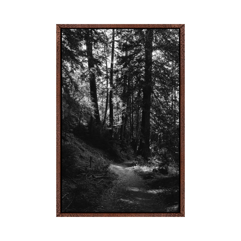 Big Sur Hike by Bethany Young - Print on Canvas, Classic Brown Wood Framed, 66.04cm H x 45.72cm W x 3.81cm D