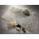 Leominster Damask Shag Area Rug