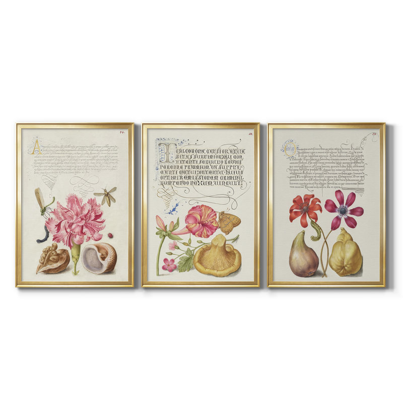 Hoefnagel Tropical Specples VI - Toile tendue avec châssis sur mesure - 3 pièces, H 21 po x l 30 po, Doré