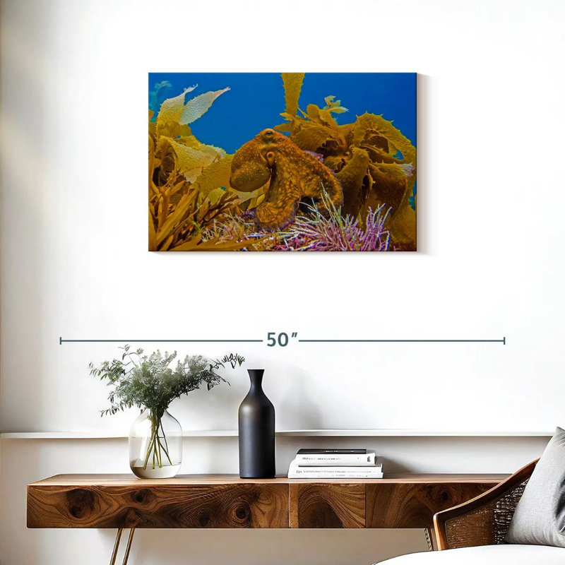 Crowle Reef Octopus And, 20" H x 30" W