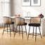Tabouret de bar et de comptoir rembourré Cane-382988431-382988416-400685741