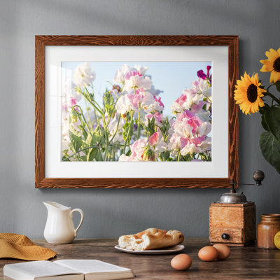 " Spring All Around "