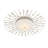 Planisphere LED Flush Mount