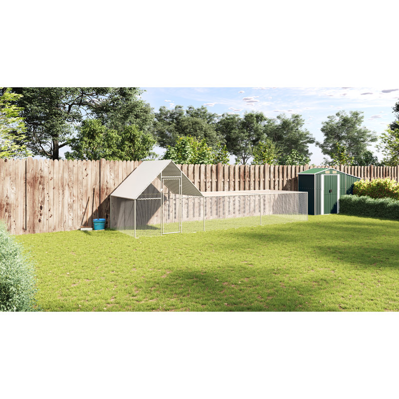Cage à poules avec cage en acier galvanisé, H 78,74 po x l 236,22 po x P 78,74 po