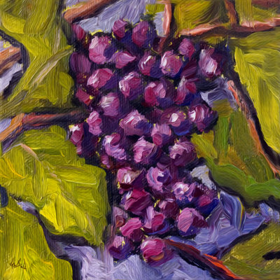 " Grapes By John Beard - Gallery Wrapped Canvas Print " by John Beard