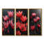 Monochromes rouges, noirs, pissenlits, gouttes de pluie-1756155463-1756155469-1756155468