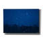  «Blue Night Winter Forest 2» par Life BeautifuLEE, art mural sur toile, 60 po x 40 po-1972781659