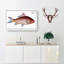 Cirrhated Carp Fish by M.E. Bloch - Wrapped Canvas-55371715