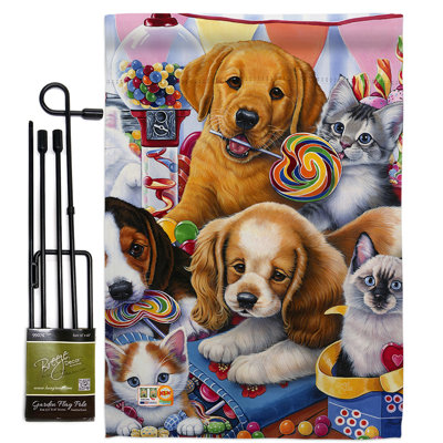 Double Sided 18.5'' H x 13'' W Polyester Flag Set