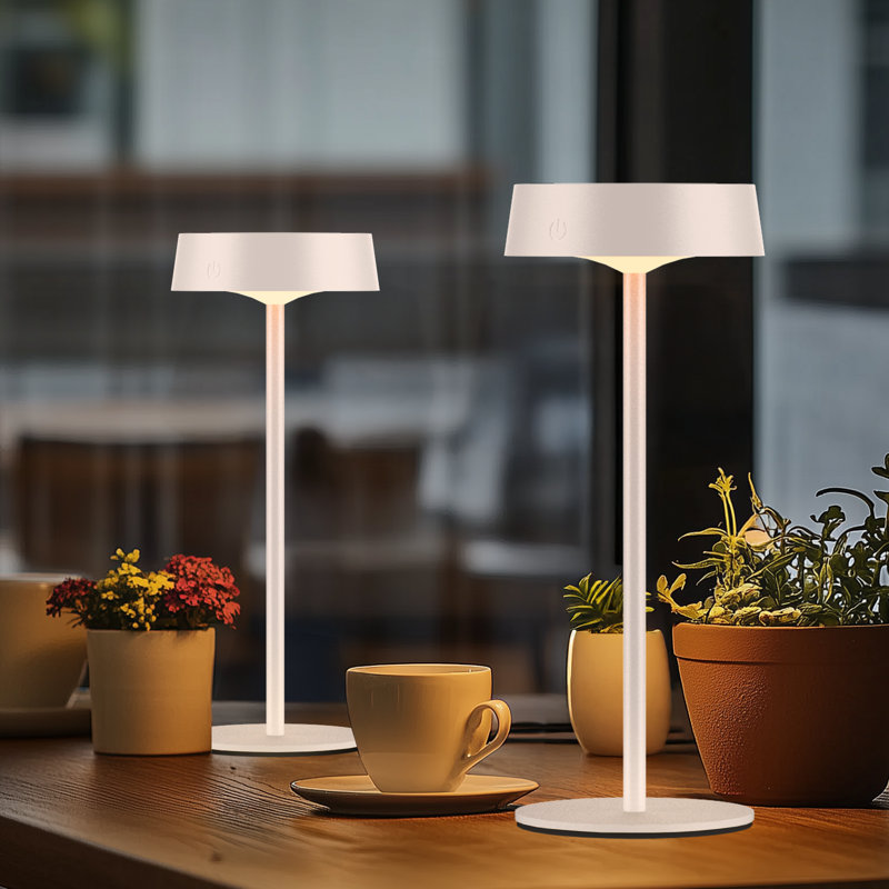 2 Pack Cordless LED Table Lamp, USB Rechargeable + Solar Powered Outdoor Lamps, Dimmable, 3 Colors, 4000mAh Battery, White