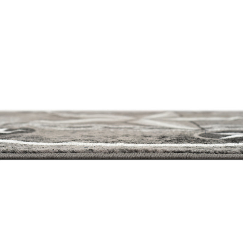 Gris HR Star du Texas noir et multicolore, Rectangle 8 pi x 10 pi