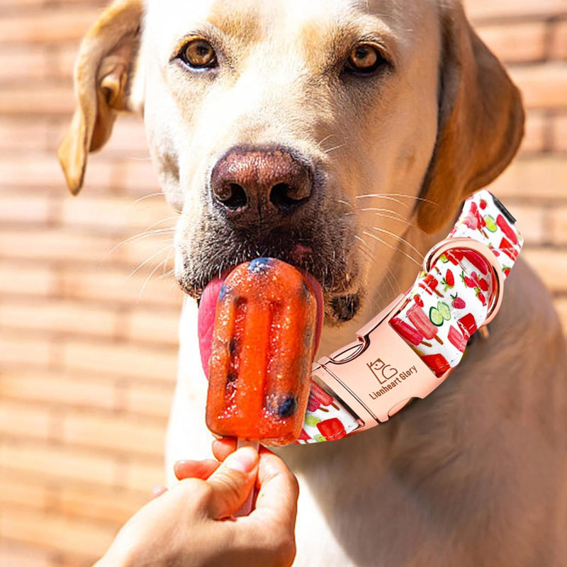 Popsicle Print Dog Collar - Soft, Durable, Adjustable For  Dogs - Spring/Summer Cute Collar Gift