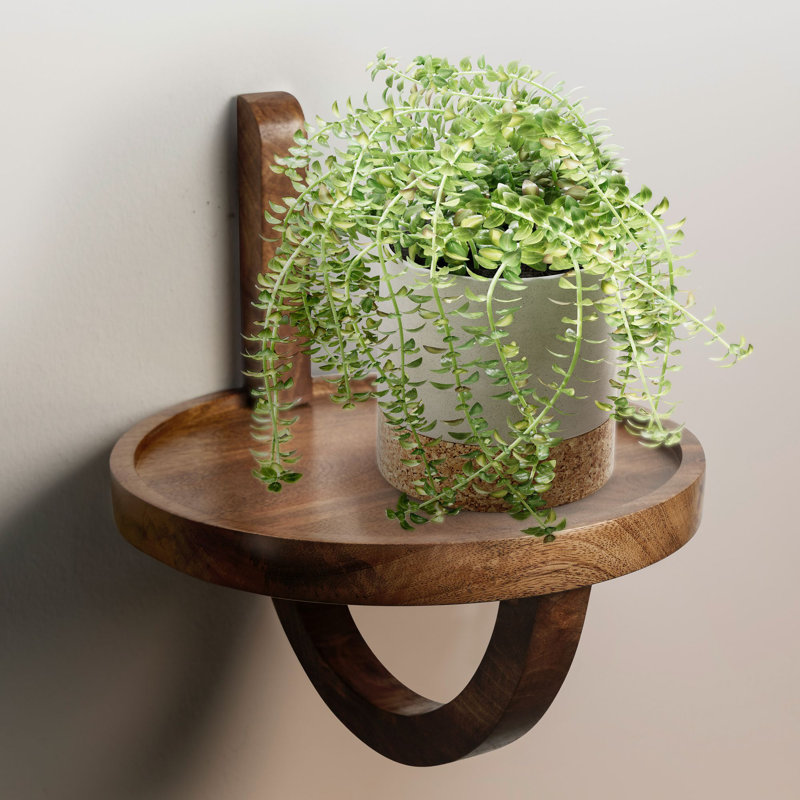 Boise Round Mango Solid Wood Floating Shelf