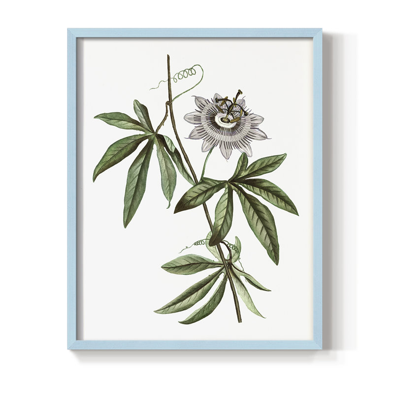 Tropical Botanical I, reproduction encadrée - bois massif, H 11 po x l 9 po, Bleu
