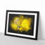 Yellow Butterfly - Framed Print-56842424-56842429