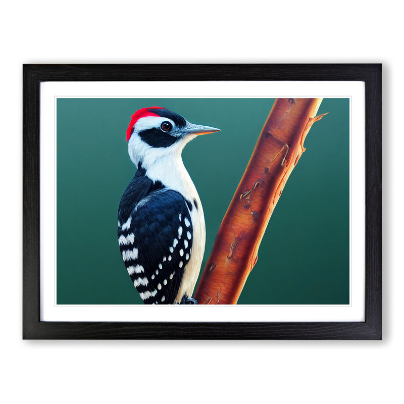 Select Woodpecker Bird - Framed Print, Black, 25cm H x 34cm W x 2cm D