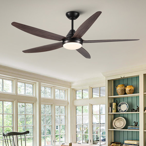 Hokku Designs Collegeville 56'' Ceiling Fan with LED Lights | Wayfair