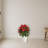 Mixed Anthurium Plant in White Tower Vase