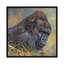 « gorilla », impression sur toile-33109367-72406632-72406633