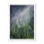White Picture Frame Canvas