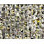Synapses Painting-25818215-25818209
