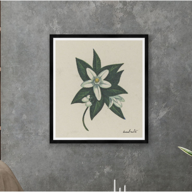 Orange Blossom Print, Black Framed