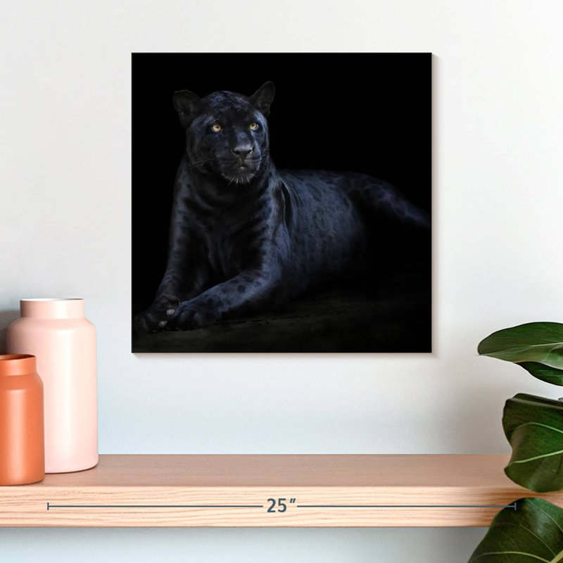 Brampt Black Jaguar, 16" H x 16" W