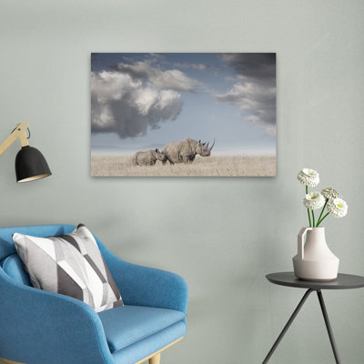 Rhino Bond, paysage, nature, nuageux, photographie, faune, art, art contemporain