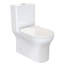 Toilette une pièce à double chasse Burdon 1,1 / 1,6 gallons Burdon-63694527