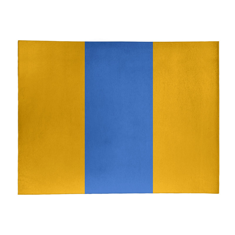 Chenille Indoor Rug, Rectangle 5' x 7'