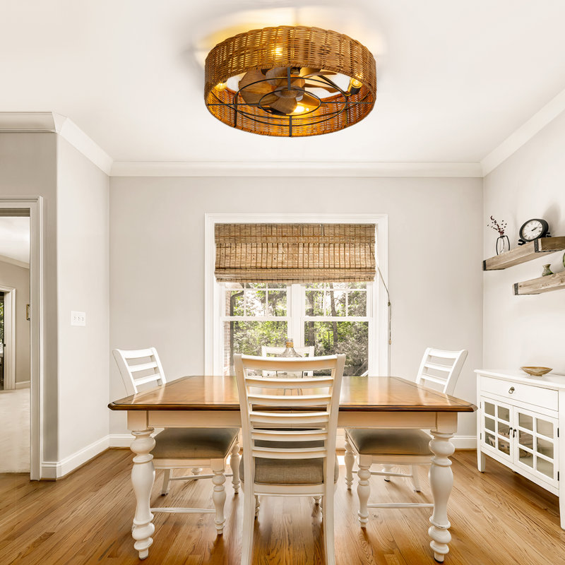 Adiyan 19'' Ceiling Fan with Light Kit