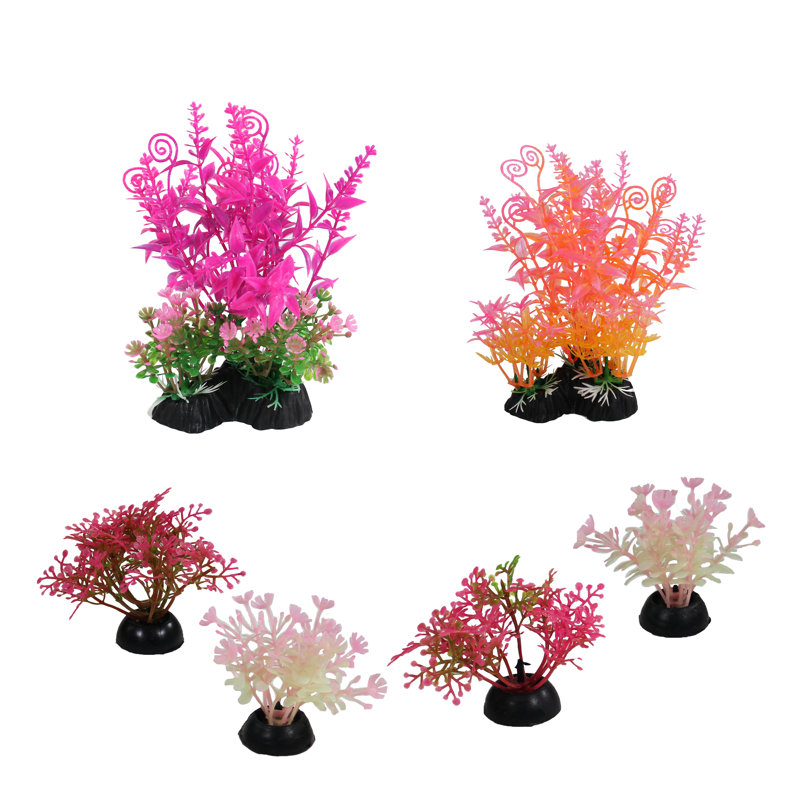 Accessoire d'aquarium
