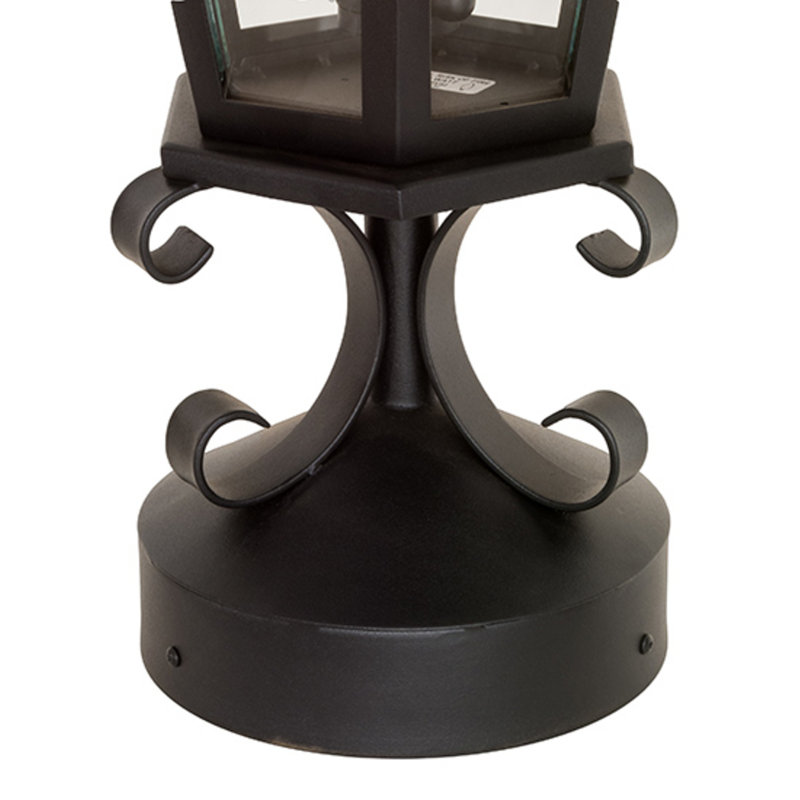 Yorkshire Lantern Head