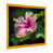 Gold Picture Framed Canvas