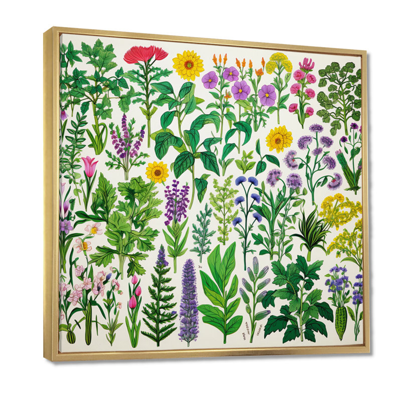 «Collage of Blooming Spring Flower - Wildflowers», reproduction d'art murale, Toile avec cadre flottant or