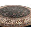 Kathrize Oriental Area Rug in Green