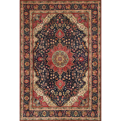 Haghni Oriental Indoor Rug