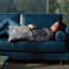 Coussin Plutus-103835865-103835867