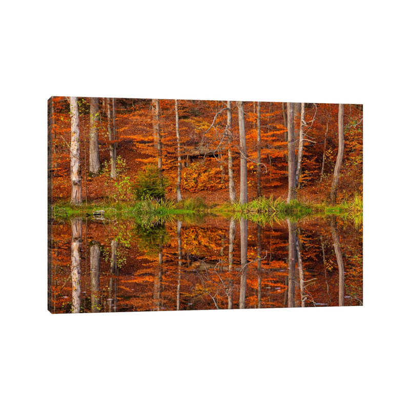Poland, Kashubia by Mikolaj Gospodarek - Wrapped Canvas Print, 20.32 cm H x 30.48 cm W