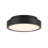 Patrol Ceiling Mount, 15W, Black Finish