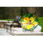 Bain d’oiseaux hibiscus art nouveau