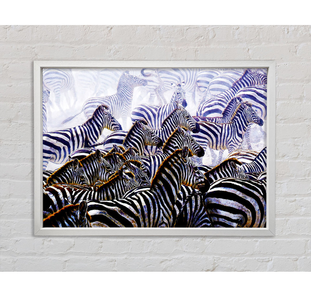 Zebra Stampede - Druck