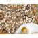 Britannia Floral Indoor Rug