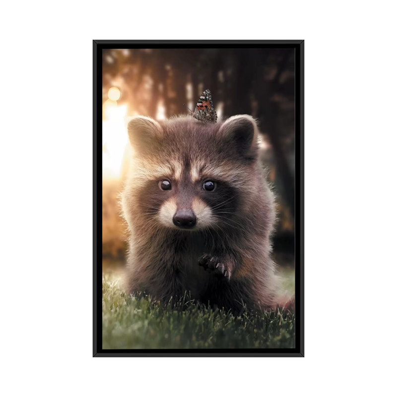 Raccoon Butterfly by Zenja Gammer - Print on Canvas, 66.04 cm H x 45.72 cm W, Black Framed