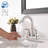Centerset 2-Handle Bathroom Sink Faucet With Drain Assembly-110240596
