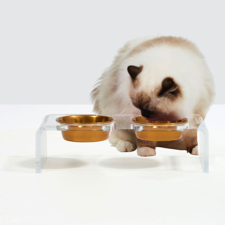 Large Clear Double Dog Bowl Feeder with Gold Bowls