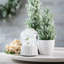 2 Piece Snowy Pine Tree Set