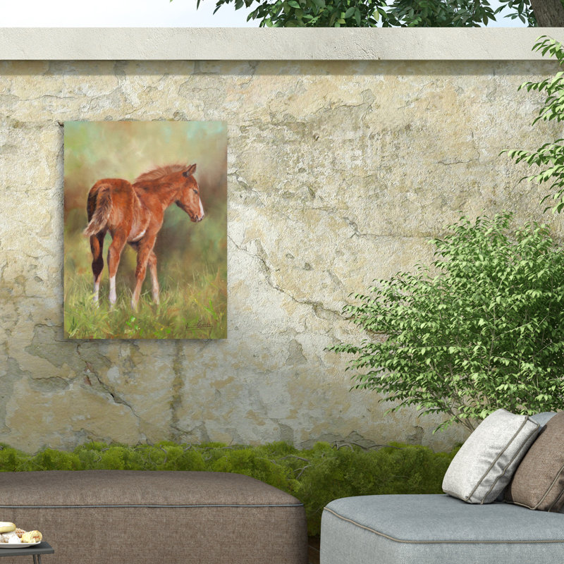 Toile d'extérieur David Stribble Foal In Sunshine, H 14 po x l 19 po