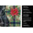 Black Italian Greyhound Christmas PoinsettIas Kitchen Towel-2080583852